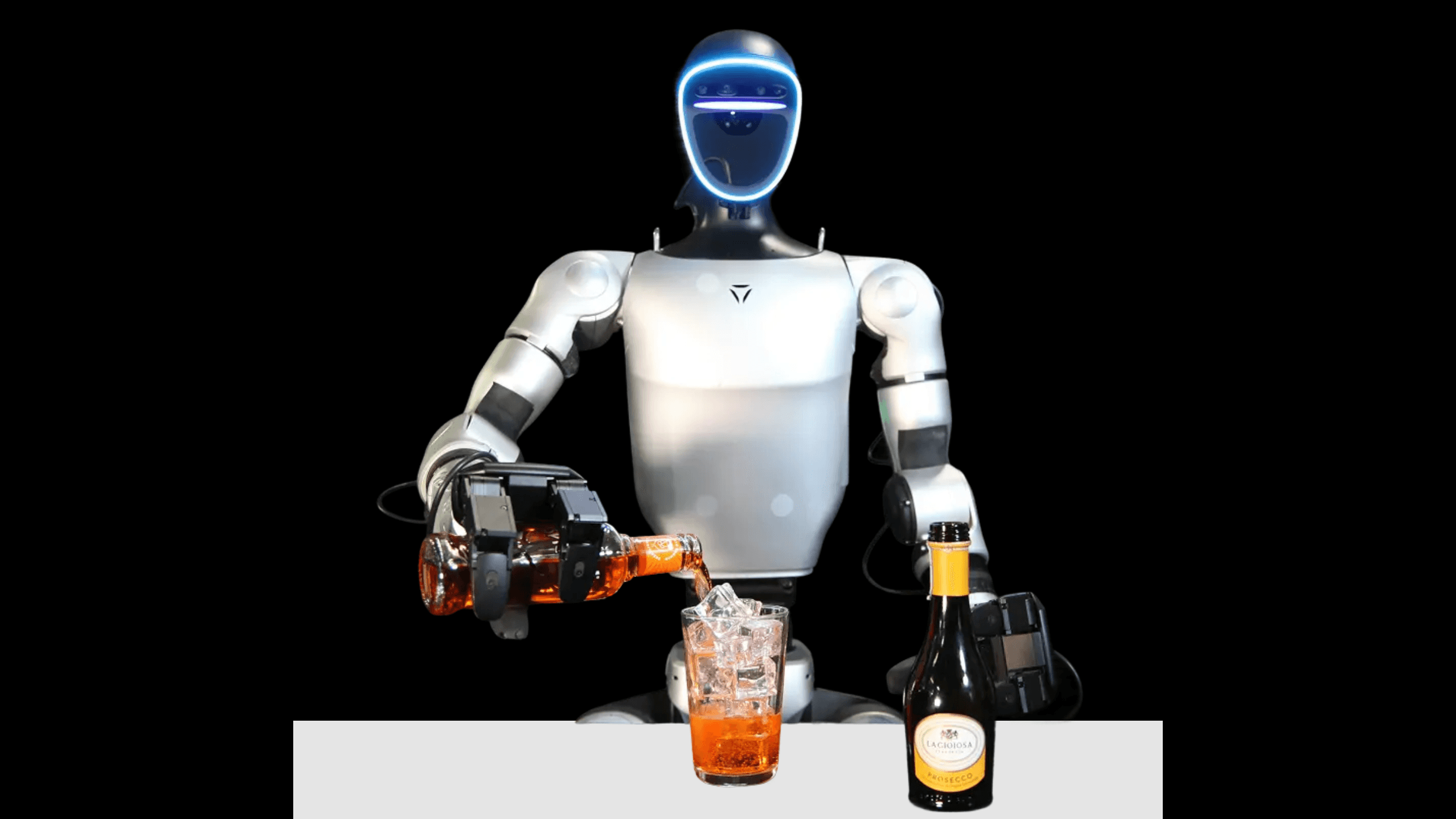 Human-Inspired robot learning